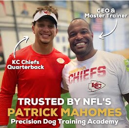 Precision Dog Training Academy
