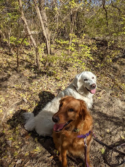 Pawsitive K9 Trainer