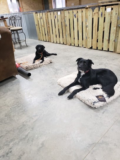 Mossy Kennels