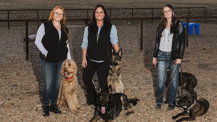 Special K9 Dog Training & Country Resort
