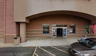 PetSmart Dog Training