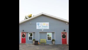 For Paws K9 Training