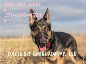 Golden Sky Canine Academy