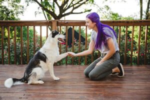 Canis Major Dog Training