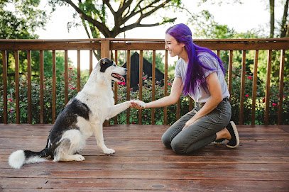 Canis Major Dog Training