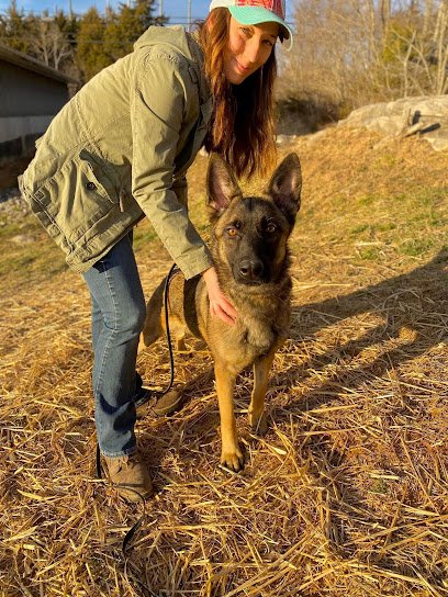 Rockcastle Canine Training Center, LLC