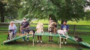S.M.A.R.T. Dog School