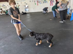 Bella’s K9 Academy