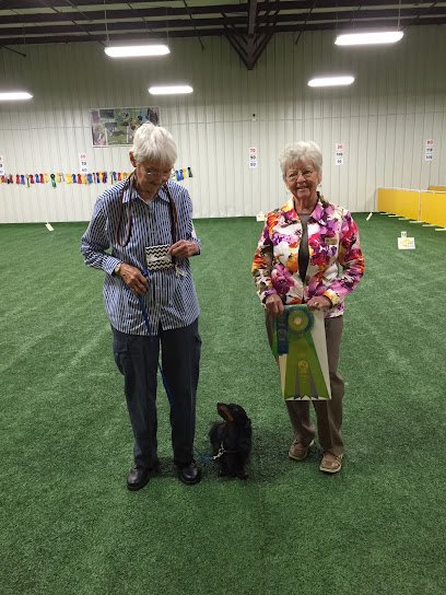 Competitive Edge Agility & Dog Sports
