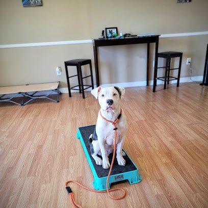 Cintron K9 Dog Training