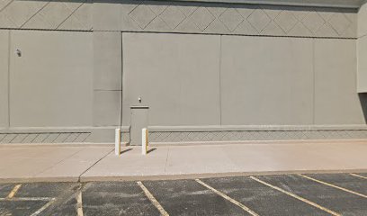 PetSmart Dog Training