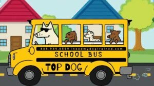 TOP DOG TRAINING ACADEMY