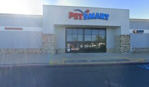 PetSmart Dog Training