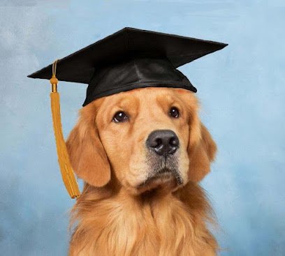 J C M’s Dog Training