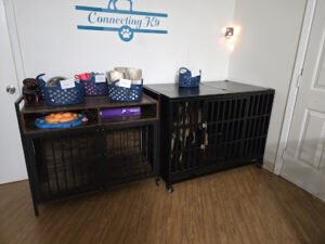 Connecting K9
