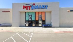 PetSmart Dog Training