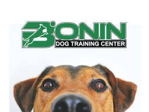 Bonin Dog Training Center