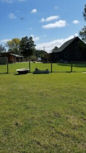 WonderDog Farms