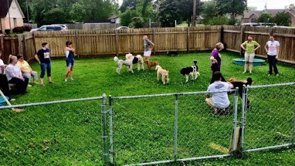 Bons Chiens Dog Training, LLC.