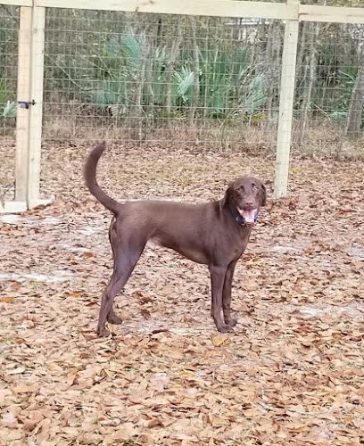 The Lucky Pet, LLC