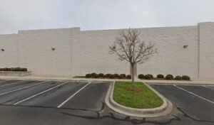 PetSmart Dog Training