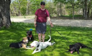 Kompletely K-9 Dog Training and Rehabilitation