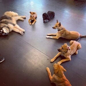 Partners in Canine