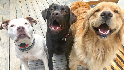 The Maine Pack
