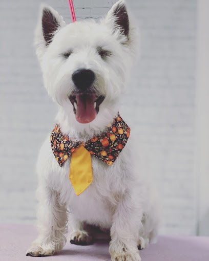 Something to Wag About, Inc.