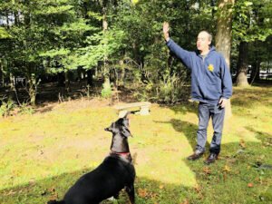 Tom’s Dog Training