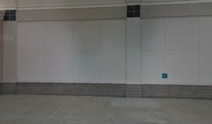 PetSmart Dog Training