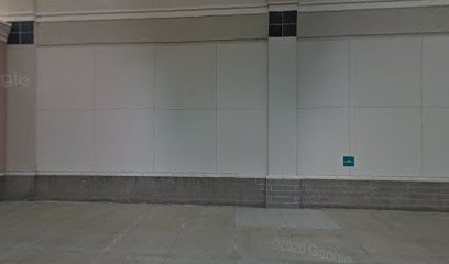 PetSmart Dog Training