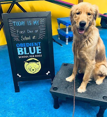 Obedient BLUE ‚ÄúSchool for dogs‚Äù