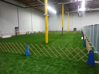 Oriole Dog Training Club