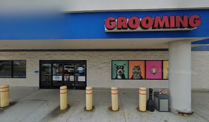 PetSmart Dog Training