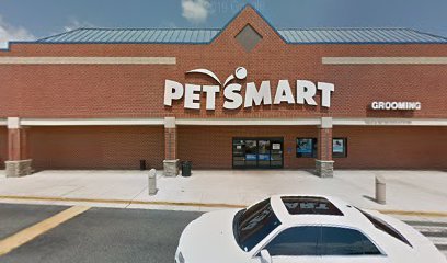 PetSmart Dog Training