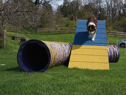 Go Pawsitive, LLC