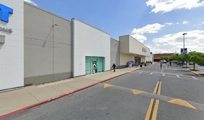 PetSmart Dog Training