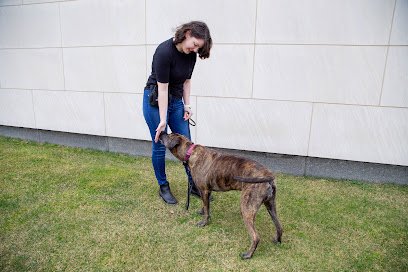 The Dog Behavior Institute