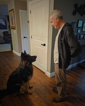 Central Mass Dog Training and Pet Services