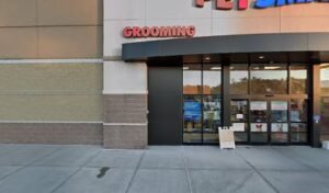 PetSmart Dog Training