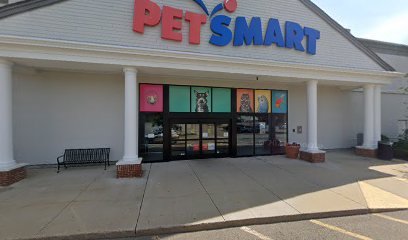 PetSmart Dog Training