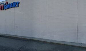 PetSmart Dog Training