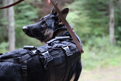 Mutdz Dog Training