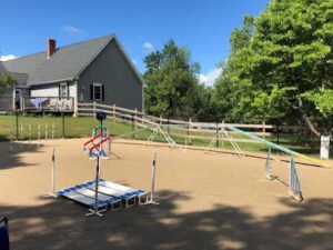 Unmistaken Stars Farm Sanctuary and Dog Training