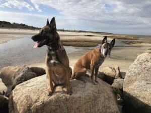 ExFed Dog Training, LLC
