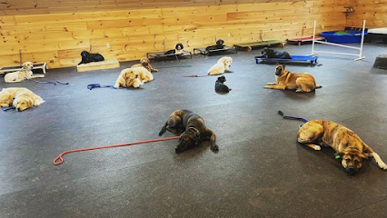 Runchkin Hill K9 Training and Breeding Facility