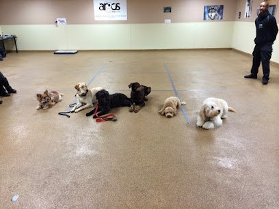 Argos Dog Training