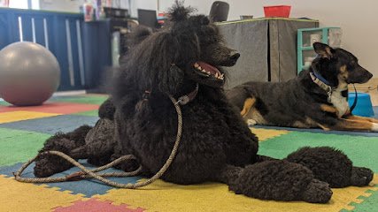 MJ’s Pet Training Academy