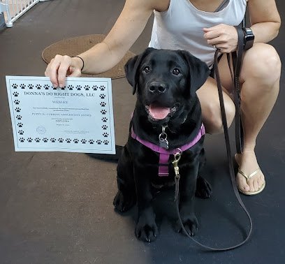 Donna’s Do Right Dogs